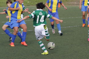 星空电竞登录-上海申花再遭柔佛新山逆转，1-3失利痛失连胜机会